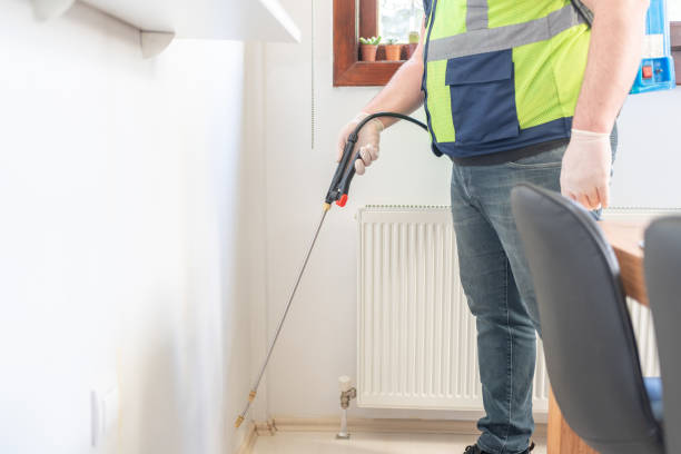 Wasp Removal Services in Celebration, FL